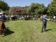 thumbnail 738 --9398.jpg